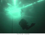 Swim To The Light